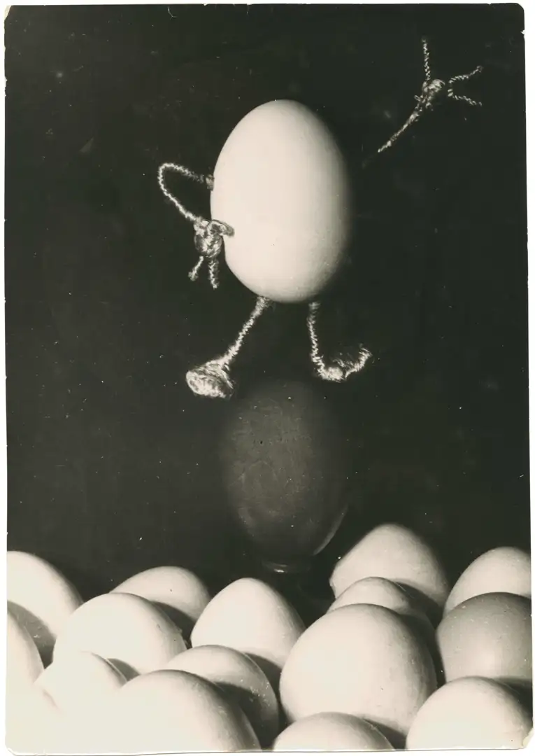 Egg the Flow photograph